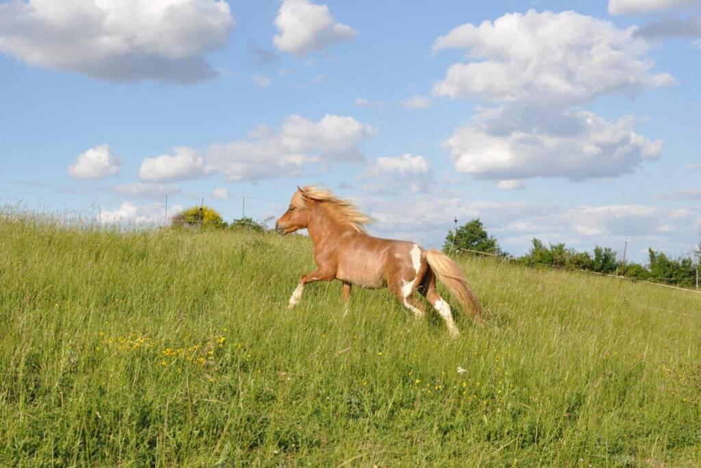 En Pleine Nature Proche Du De La Gimone