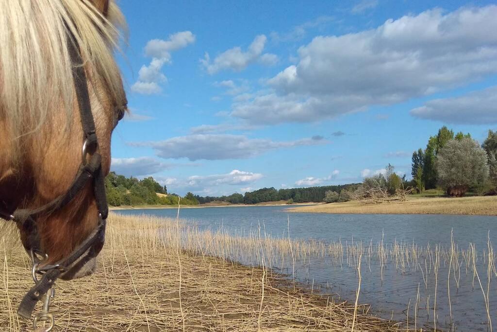 Ferienhaus En Pleine Nature Proche Du De La Gimone