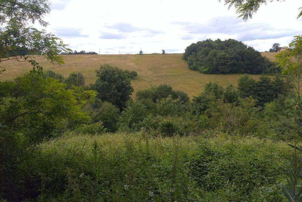 En Pleine Nature Proche Du De La Gimone Holiday home *