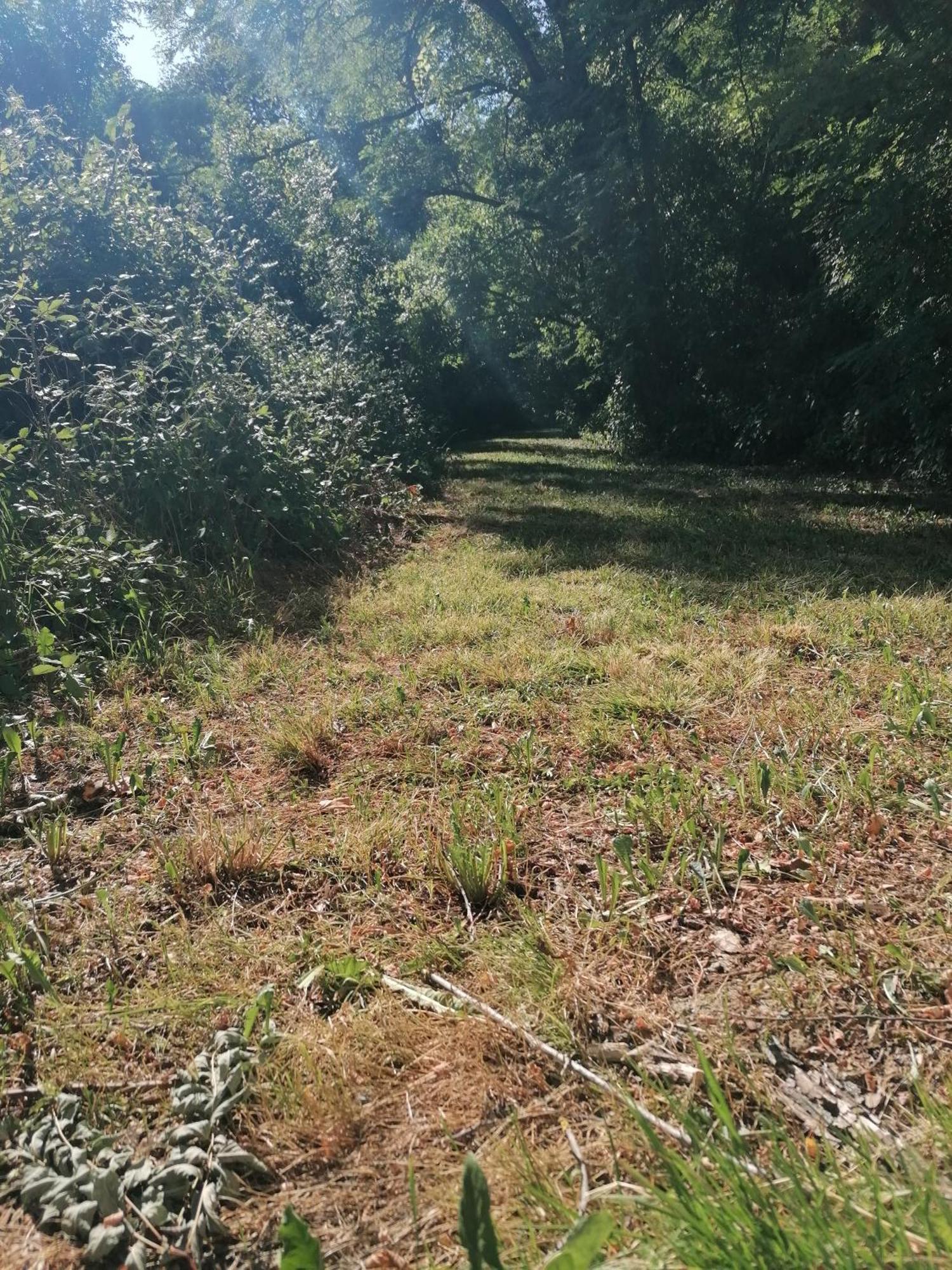 En Pleine Nature Proche Du De La Gimone